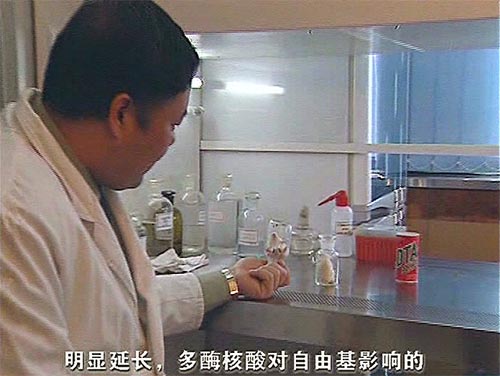 zhuanjia10.jpg